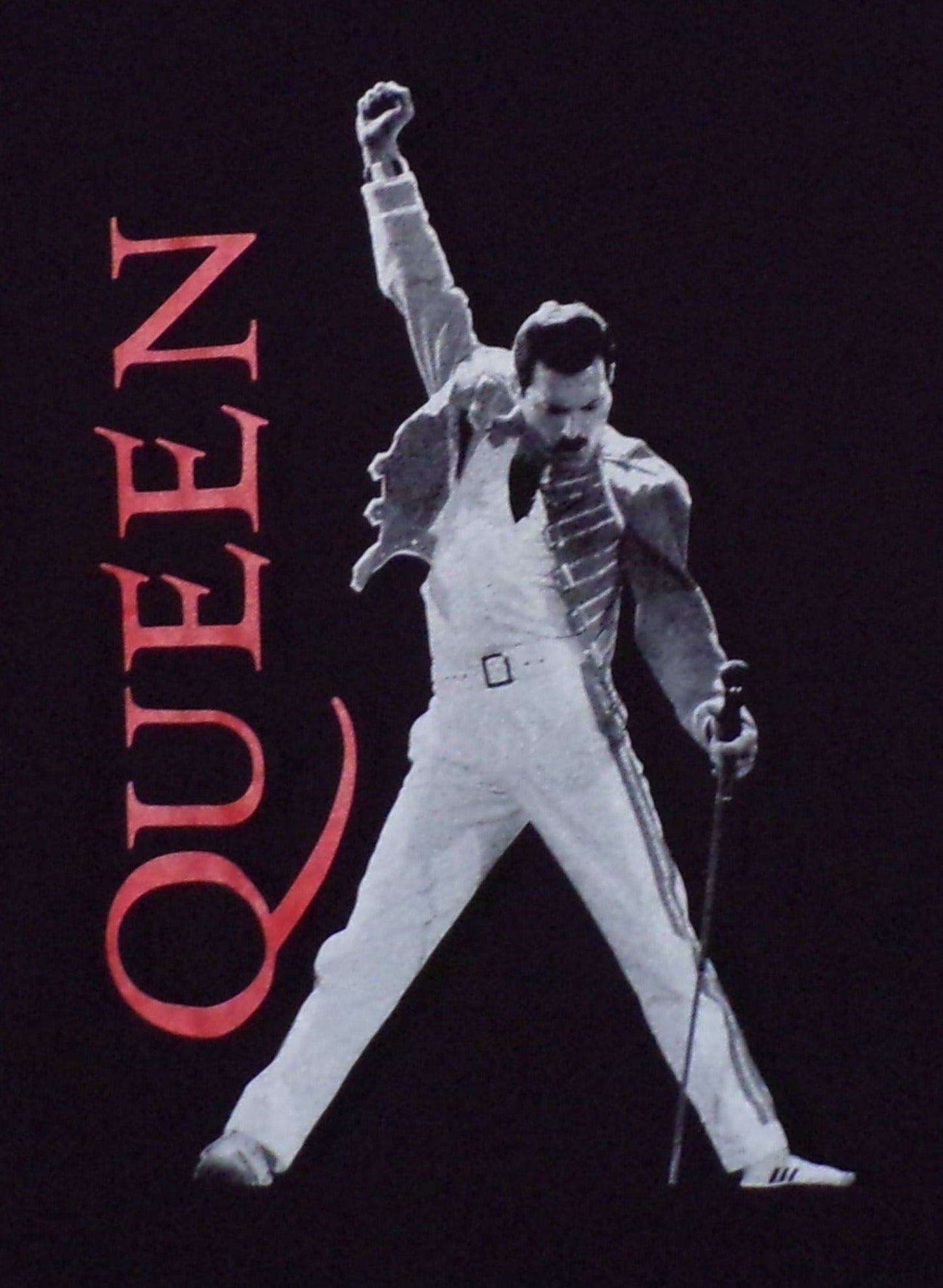 Front view of Queen Freddie Mercury graphic T-shirt featuring live performance pose with microphone on black tee