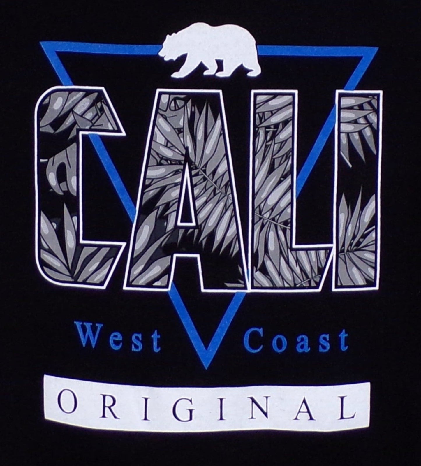 Youth wearing a "Cali West Coast Original" silkscreen T-shirt, featuring a bold, vibrant design that reflects laid-back California vibes. The ultra-soft, unisex tee is styled casually, perfect for young trendsetters. Available in XS-XL