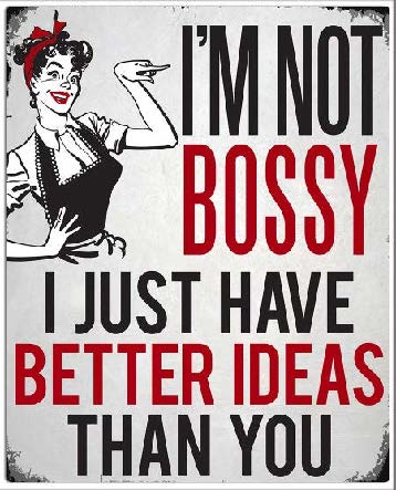 New ’I’m Not Bossy I Just Have Better Ideas Than You’ Mom Cave Wall Décor Metal Sign. 12’’W x 15’’H. - Metal Sign